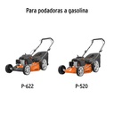 LLP-12-1+D1.jpg