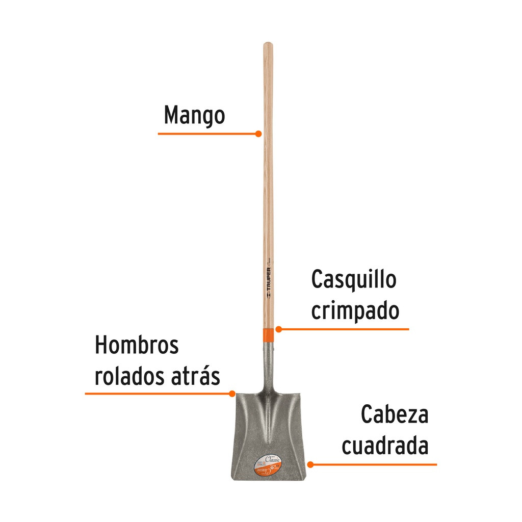 PCL+FC1.jpg