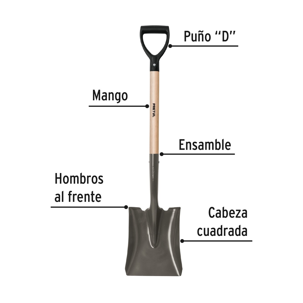 PCD-P+FC1.jpg