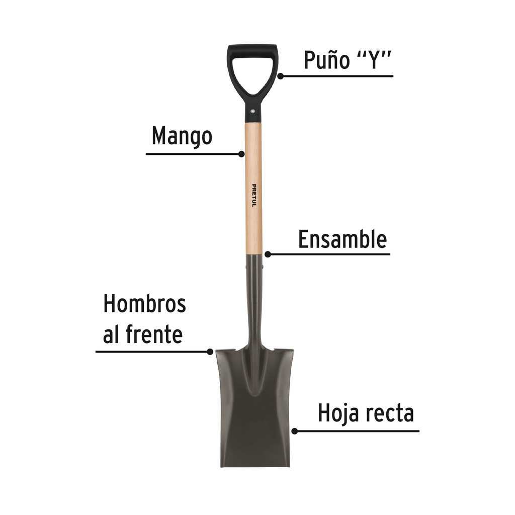 PED-P+FC1.jpg
