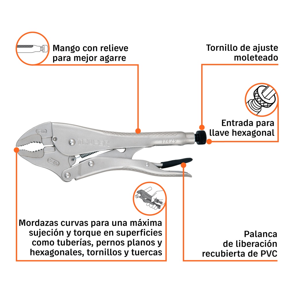 PPT-12C+BIZQ1.jpg