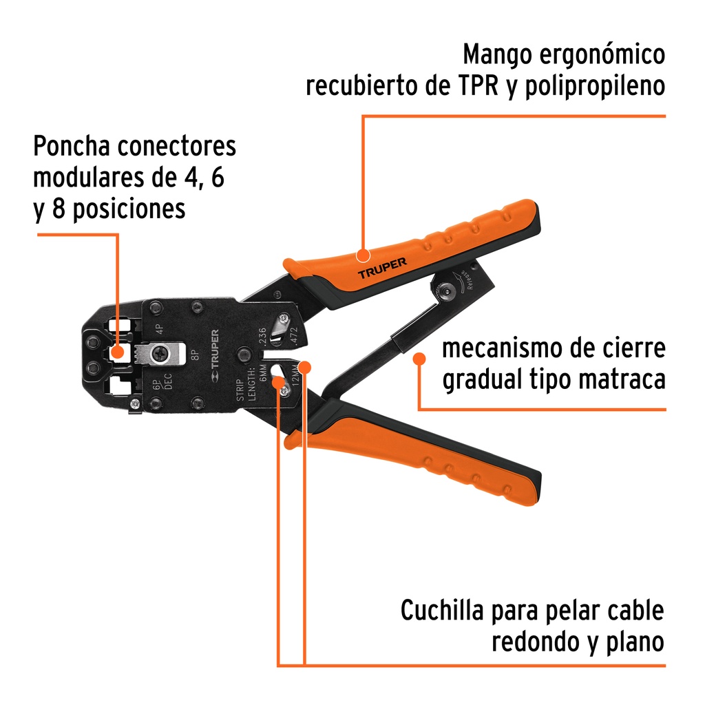 PRJ-3+BIZQ1.jpg