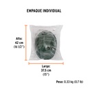 CAS-VP+EIND1.jpg