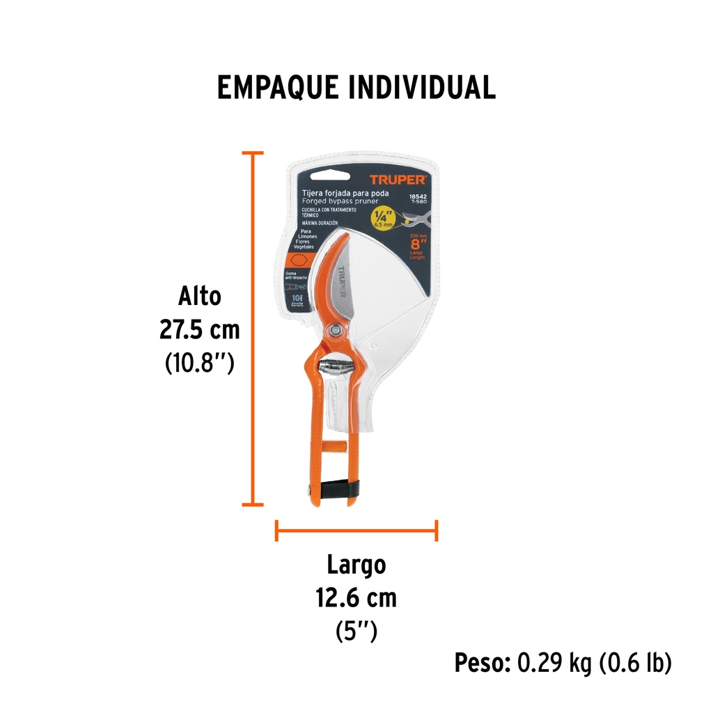 T-580+EIND1.jpg