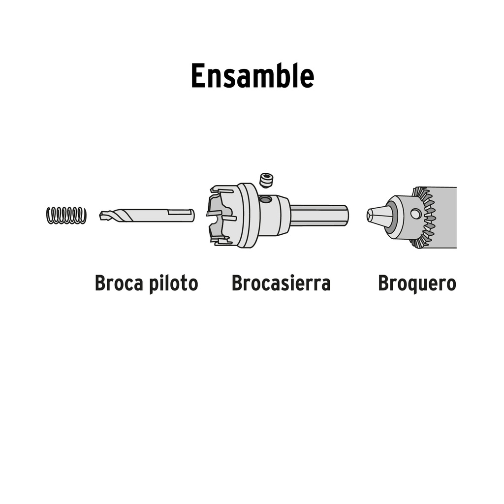 BSC-1-3-8+D1.jpg