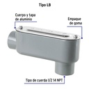 COLET-3-4-LB+FC1.jpg