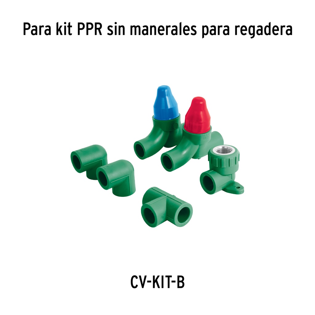 CV-CARCE+D3.jpg