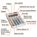 CALC-19E+FC1.jpg
