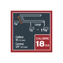 ENNE-120+D2.jpg