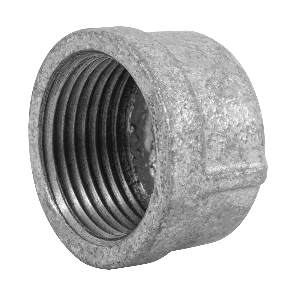 [T47493] Tapón hembra 1' de acero galvanizado, Foset