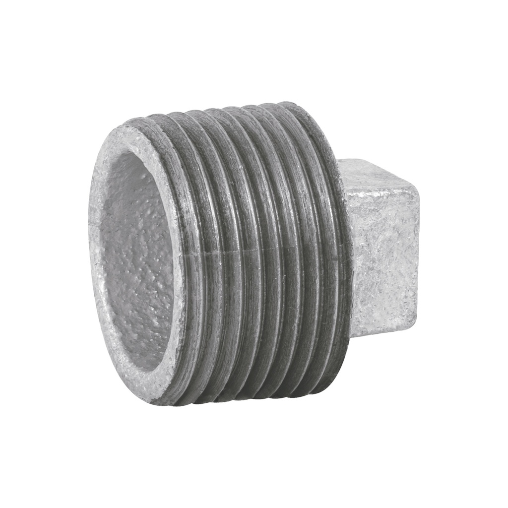 [T47496] Tapón macho 1' de acero galvanizado, Foset